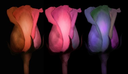 Times Three by Mindy Sommers art print