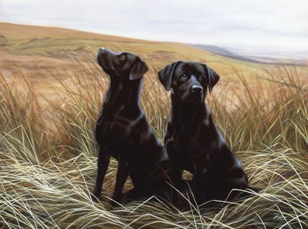 Two Black Labs by John Silver art print