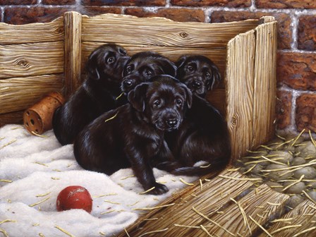 Black Lab Puppies by John Silver art print
