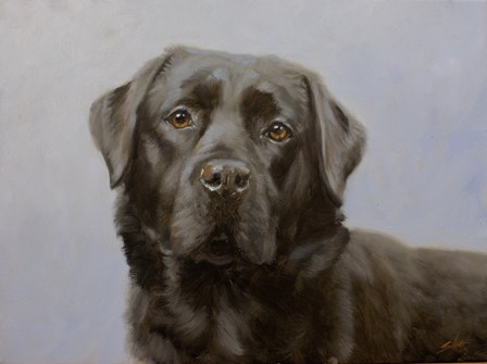 Black Lab 11 by John Silver art print