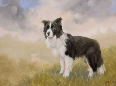 Border Collie 5 by John Silver art print