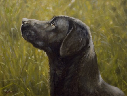 Black Lab 15 by John Silver art print