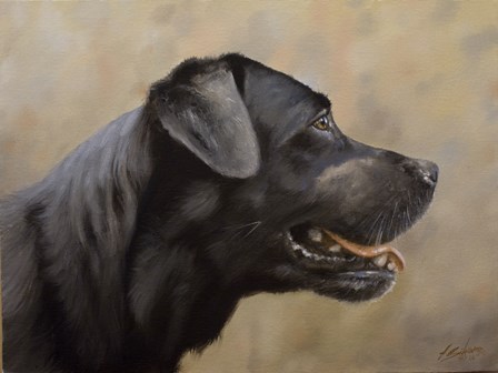 Black Lab 16 by John Silver art print