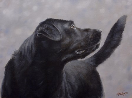 Black Lab 17 by John Silver art print
