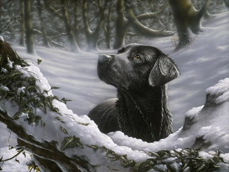 Snowy by John Silver art print