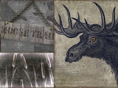 Moose by Color Bakery art print