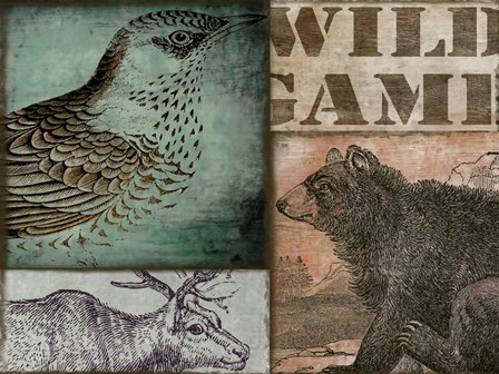 Cabela II by Color Bakery art print