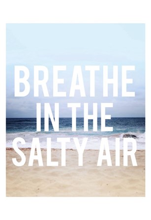 Salty Air by Leah Flores art print