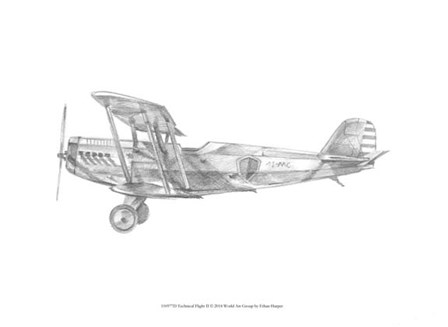 Technical Flight II by Ethan Harper art print