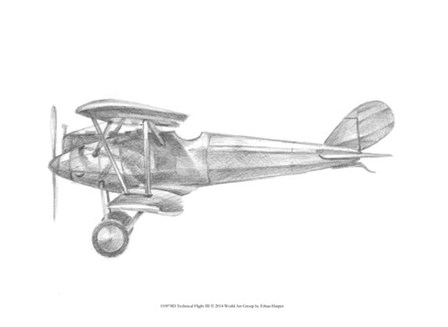 Technical Flight III by Ethan Harper art print