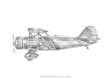 Technical Flight VI by Ethan Harper art print