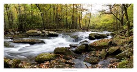Over Flow Panorama by Danny Head art print