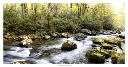 Riverside Panorama by Danny Head art print