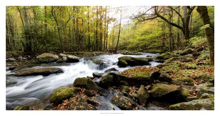 Tremont Panorama II by Danny Head art print