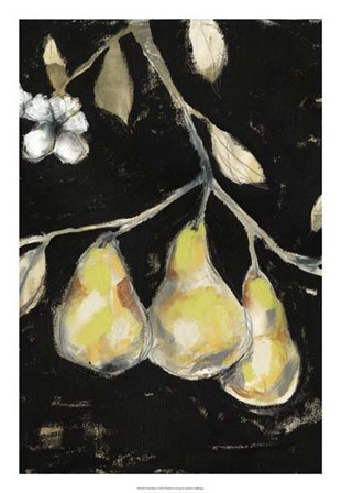 Fresh Pears I by Jennifer Goldberger art print