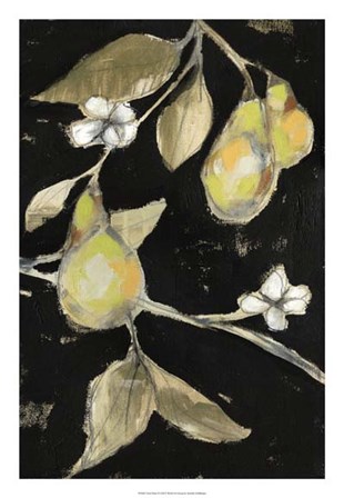 Fresh Pears II by Jennifer Goldberger art print