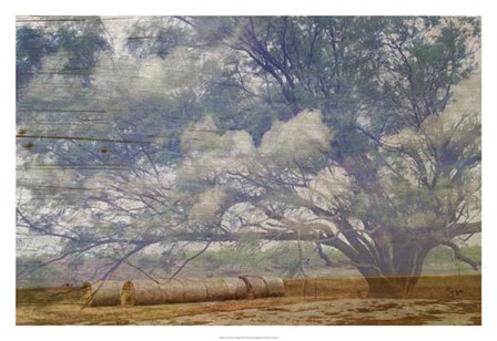 Texas Tree Collage by Sisa Jasper art print