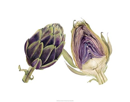 Watercolor Artichoke by Michael Willett art print