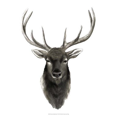 Western Animal Study V by Grace Popp art print