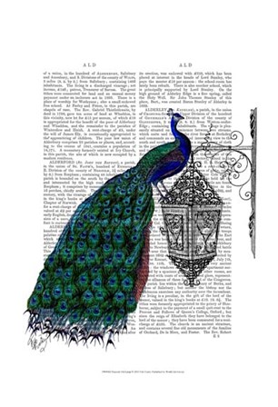 Peacock On Lamp by Fab Funky art print