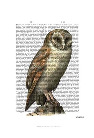 Barn Owl by Fab Funky art print
