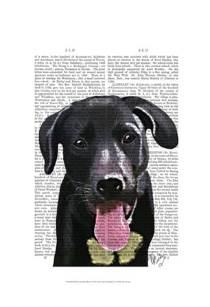Black Labrador Plain by Fab Funky art print