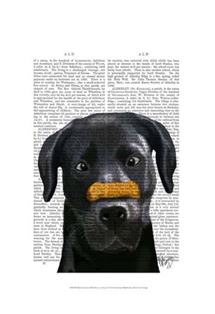 Black Labrador With Bone on Nose by Fab Funky art print
