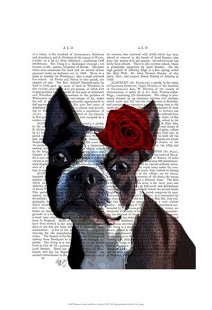Boston Terrier with Rose on Head by Fab Funky art print