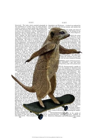 Meerkat On Skateboard by Fab Funky art print