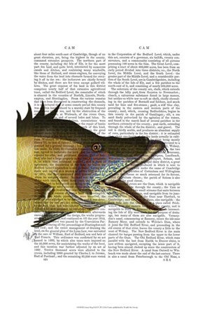 Great Hog Fish by Fab Funky art print