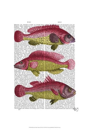 Red and Yellow Fantasy Fish Trio by Fab Funky art print