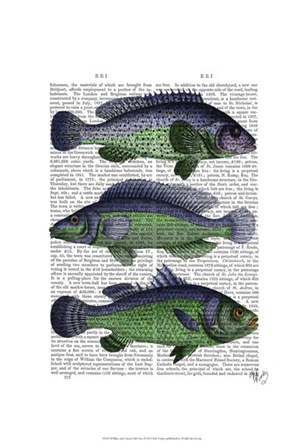 Blue and Green Fish Trio by Fab Funky art print