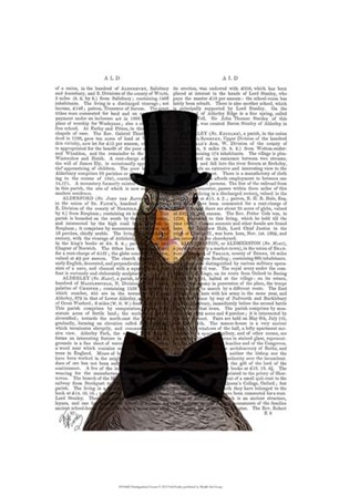 Distinguished Goose by Fab Funky art print