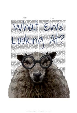 What Ewe Looking At by Fab Funky art print