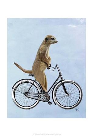 Meerkat on Bicycle by Fab Funky art print