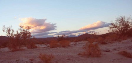 Desert And Sky by Naxart art print