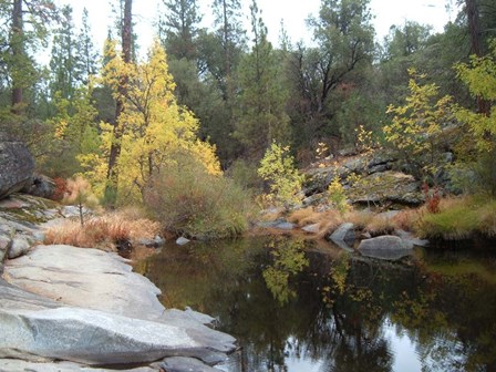 Lake In The Forest by Naxart art print