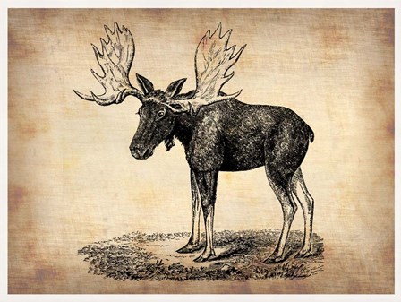 Vintage Moose by Irina March Naxart Studio art print