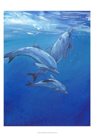 Under Sea Dolphins by Timothy O&#39;Toole art print