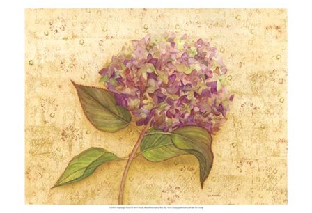Hydrangea Love I by Wendy Russell art print