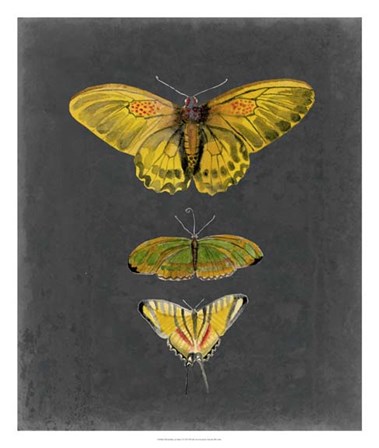Butterflies on Slate I by Naomi McCavitt art print