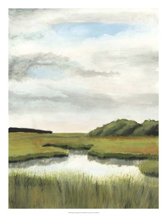 Marsh Landscapes II by Naomi McCavitt art print