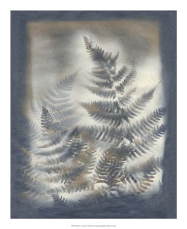 Shadows &amp; Ferns V by Renee Stramel art print