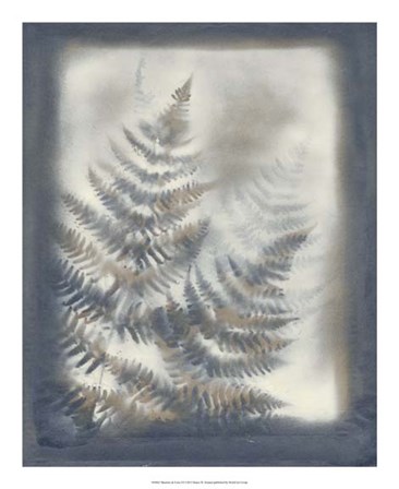 Shadows &amp; Ferns VI by Renee Stramel art print