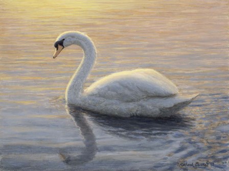 Quiet Waters 2 by Richard Burns art print