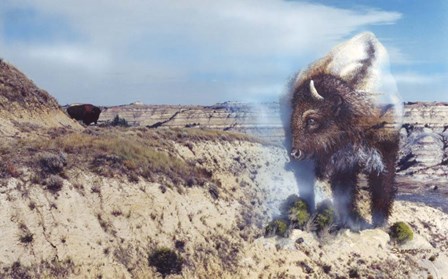 Dakota Domain by Gordon Semmens art print