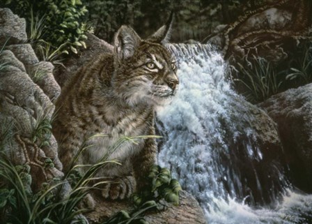 Danger In Paradise by Jenny Newland art print
