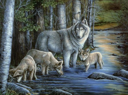 Gentle Morning by Jenny Newland art print