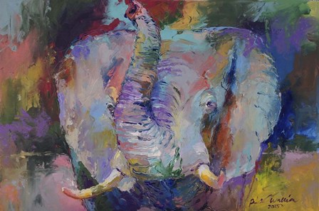 Elephant by Richard Wallich art print