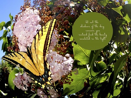 Junes Yellow Monarch by Amanda Lee Smith art print